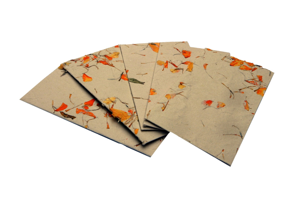 Floral Envelopes with Marigold (Pack of 10)