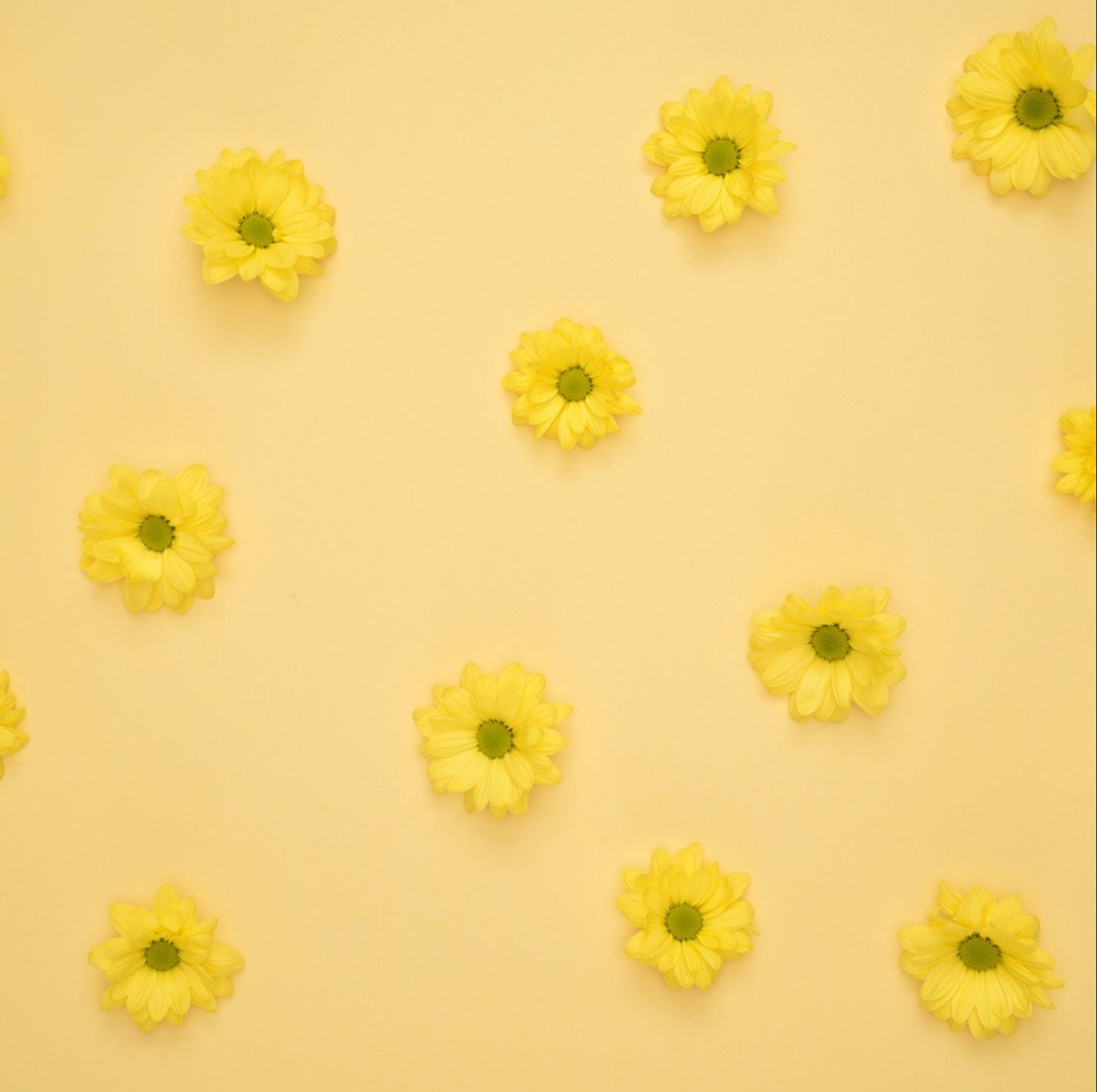 Yellow flower themed cover photo