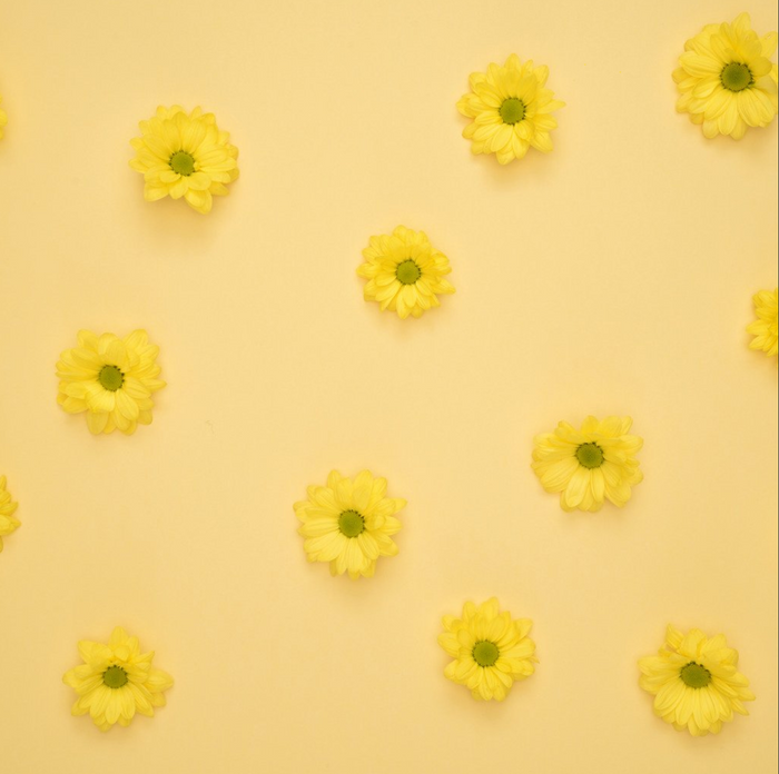 Yellow flower themed cover photo