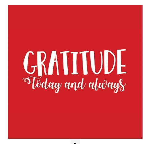 Gratitude today and always - Magnet