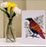 When Crows Goes Shopping