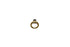 Brass Ring - Color Circle