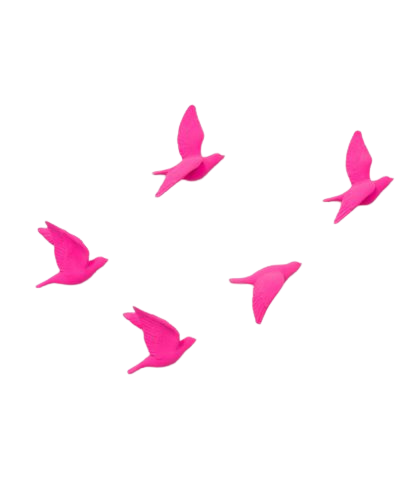 Come Fly With Me!