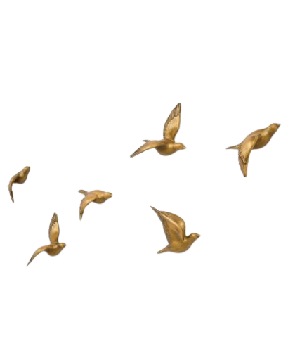 Come Fly With Me!