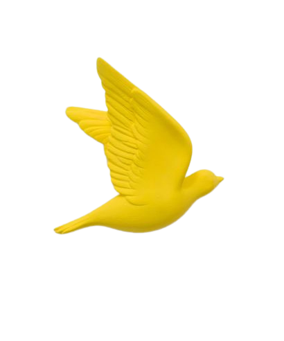 Come Fly With Me!