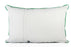 Pakistan Flag Cushion
