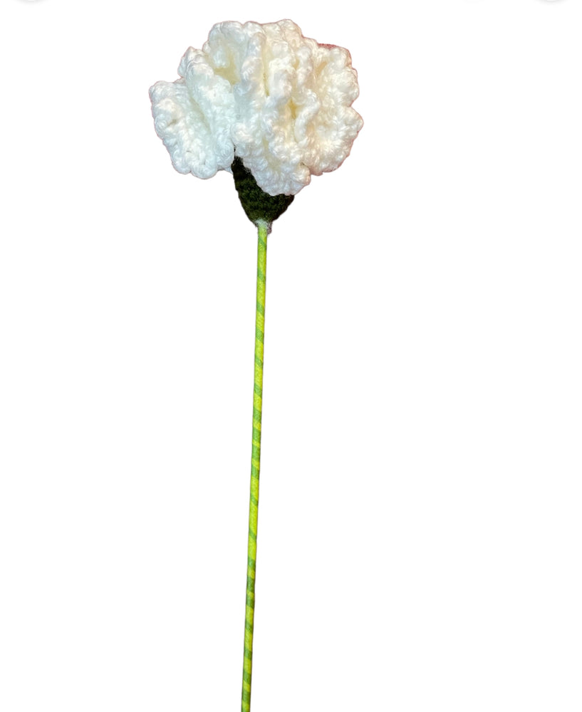 Carnation flower stems